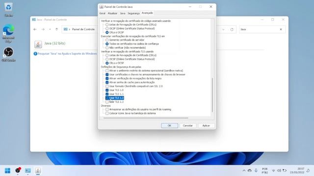 Como configurar Windows 11 para acessar o Conectividade Social ICP [ATUALIZADO 2022] смотреть онлайн