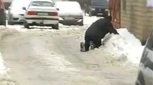 Я шагаю с работы усталый.flv