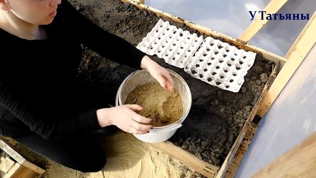Сеем редис в кассетах (лотках) и зелень. Хитрости при посадке редиса