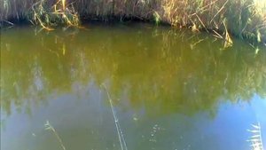 Рыбалка хутор Садки 2016