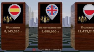 Производство Пшеницы По Странам