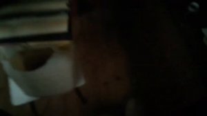 Голуби нападают на людей