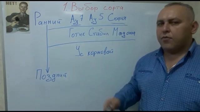 ГОРОХ: ТЕХНОЛОГИЯ ВЫРАЩИВАНИЯ. Выпуск 2. Сорта, сроки сева, нормы высева.