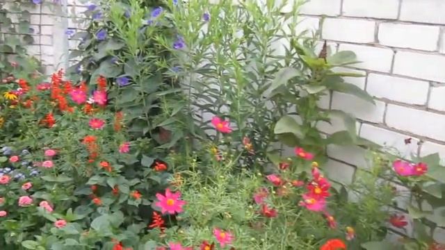 Цветник и птица смотреть онлайн