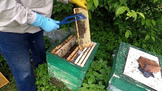 Да, да, он есть, майский мёд в 2022 году! смотреть онлайн