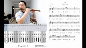 C key dizi flute cover for song in popular movie 《The Untamed》竹笛 《无羁》-电视剧《陈情令》主题曲@dantangflute