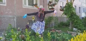 Дворики Приморского района СПБ