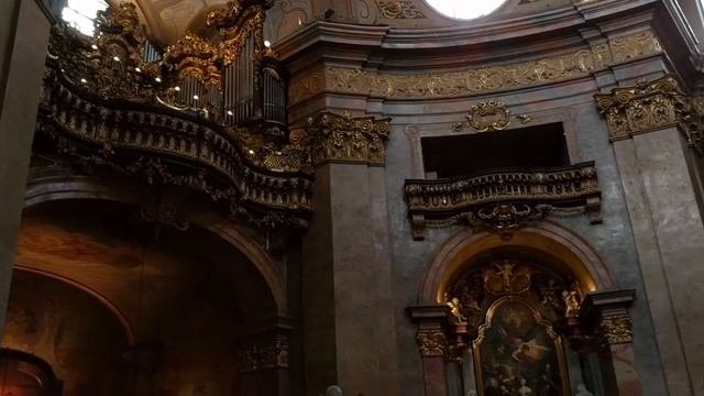 Вена за 1 день. Быстрый маршрут по основным достопримечательностям