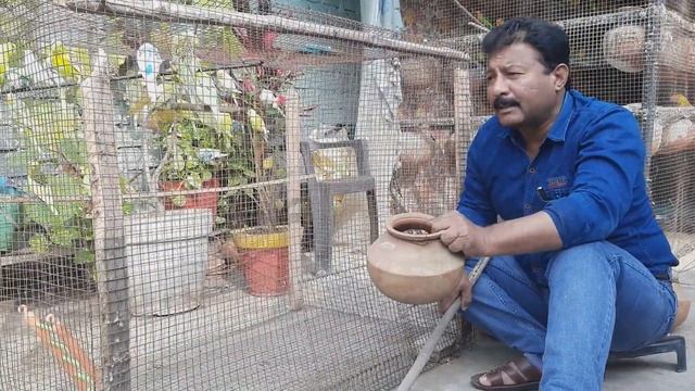 Australian parrots ki nayi colony taiyyar ki, matkiyan lagain | complete aviary | Hindi/Urdu смотреть онлайн