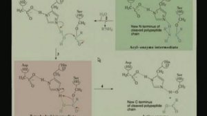 Lecture - 11 Enzyme Mechanisms II