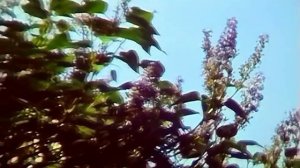 1989 год, лето. Знаменский собор на улице Семакова. Тюмень.