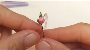 Яблоня, мини бутон с чашелистиком