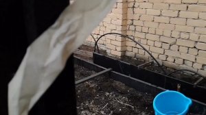 Огород, использование тюли в теплицах.