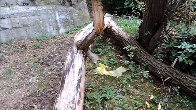 Nikon Coolpix P520 Video And Photo Test смотреть онлайн