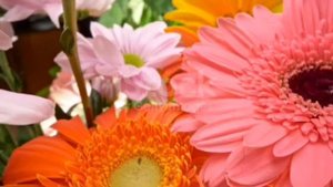 Хайрли тонг 🌹🌹Good morning 🌺🌺Добрый утро 🌻🌻