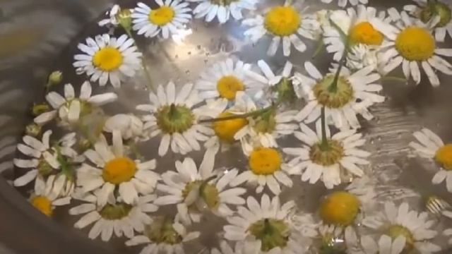 Бутунлай Култик Терлашдан Халос Булиш смотреть онлайн