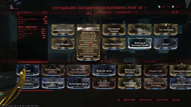 Парис Прайм Инкарнон СП билд на 07.11.2023 Paris Prime Incarnon The Steel Path