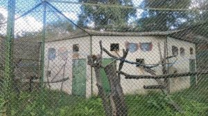 АНТАНАНАРИВУ. Столица Мадагаскара. Парк Цимбазаза, лемуры, природа, и худший город, который я видел