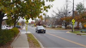 Вудсток. Город престарелых хиппи.