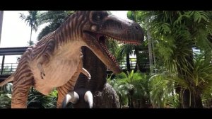 Обзор часть 2 Ботанический сад Нонг Нуч Паттайя 2020 Тайланд (Nong Nooch)