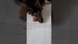 Строим выкройку жилета