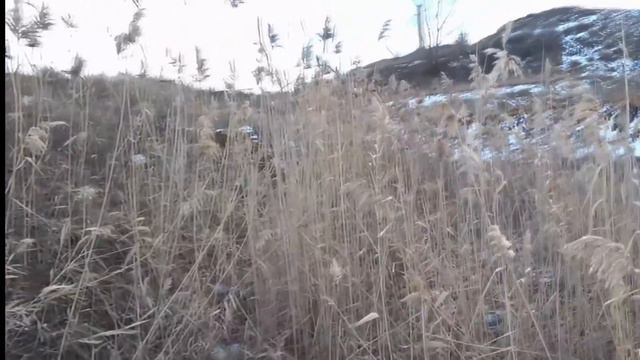 ( 18+)охота на зайца в оттепель (гоп компания и бакс продакшн) смотреть онлайн