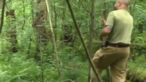 16 Рейтинг Баженова Могло быть хуже