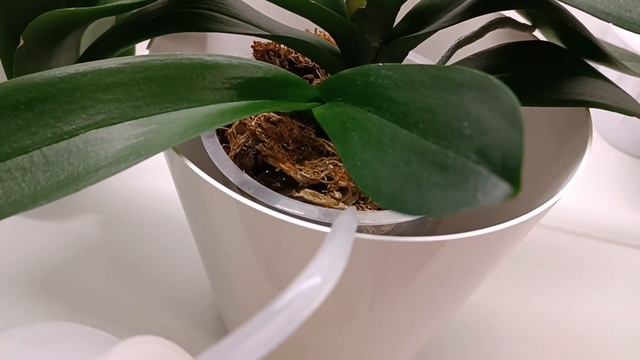 Наводим чистоту?? We clean up смотреть онлайн