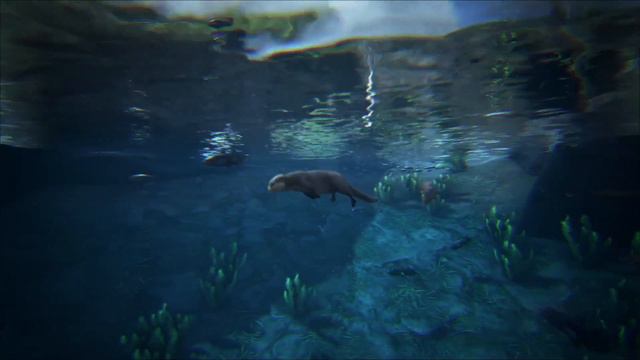 Big PlayStation News: EA Sports FC24, Atlas Fallen, SpiderMan 2, ARK Survival Ascended смотреть онлайн