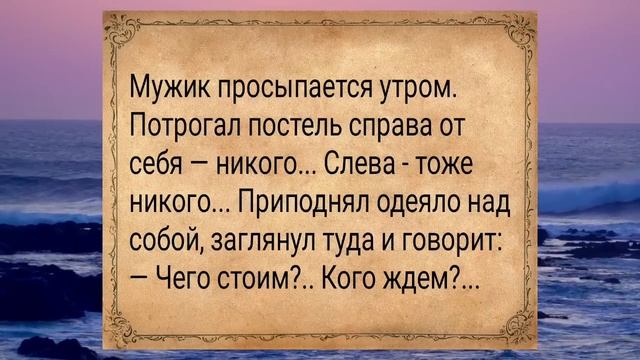 Мужик утром приподнимает одеяло...Анекдоты для взрослых #анекдоты #подборкаанекдотов #анекдот #шутк