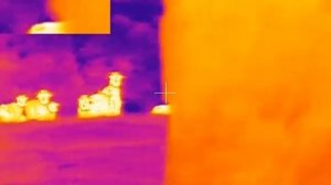 Wild Goats (Thermal Scope) Testing