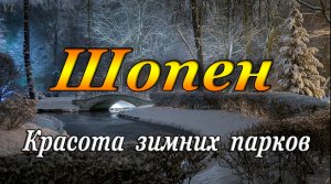 ШОПЕН - Красота зимних парков