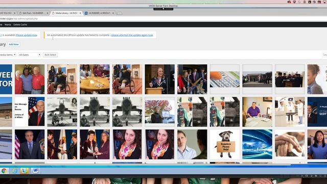 Adding Alt Text and Excerpts in WordPress