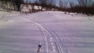 снегоход из бензопилы 1