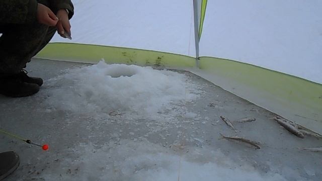 Первая рыбалка в 2022 году, 01 01 2022, Магадан, ловля корюшки смотреть онлайн