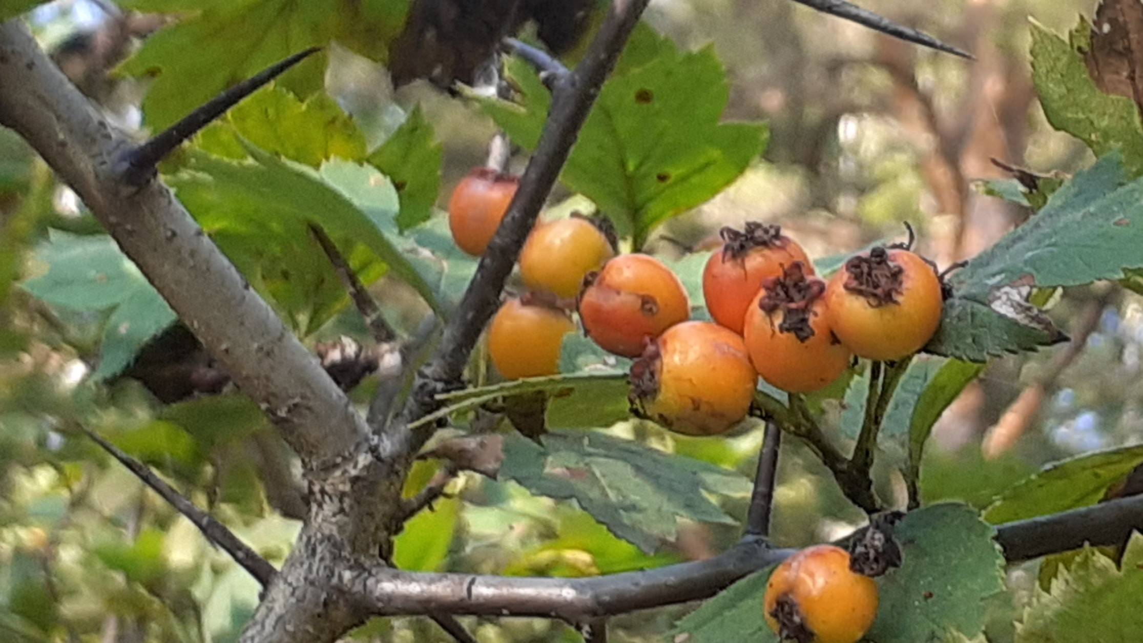 Красота земли Сибирской. смотреть онлайн