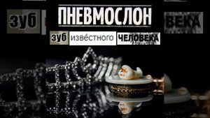 По Кабакам, По Бабам