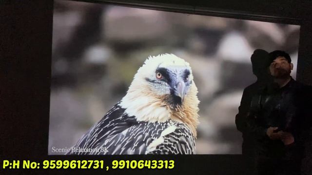 इससे सस्ता प्रोजेक्टर कही नहीं मिलेगा 3D Projector 300 inch screen 3499 |Cheapest Projector in Delh