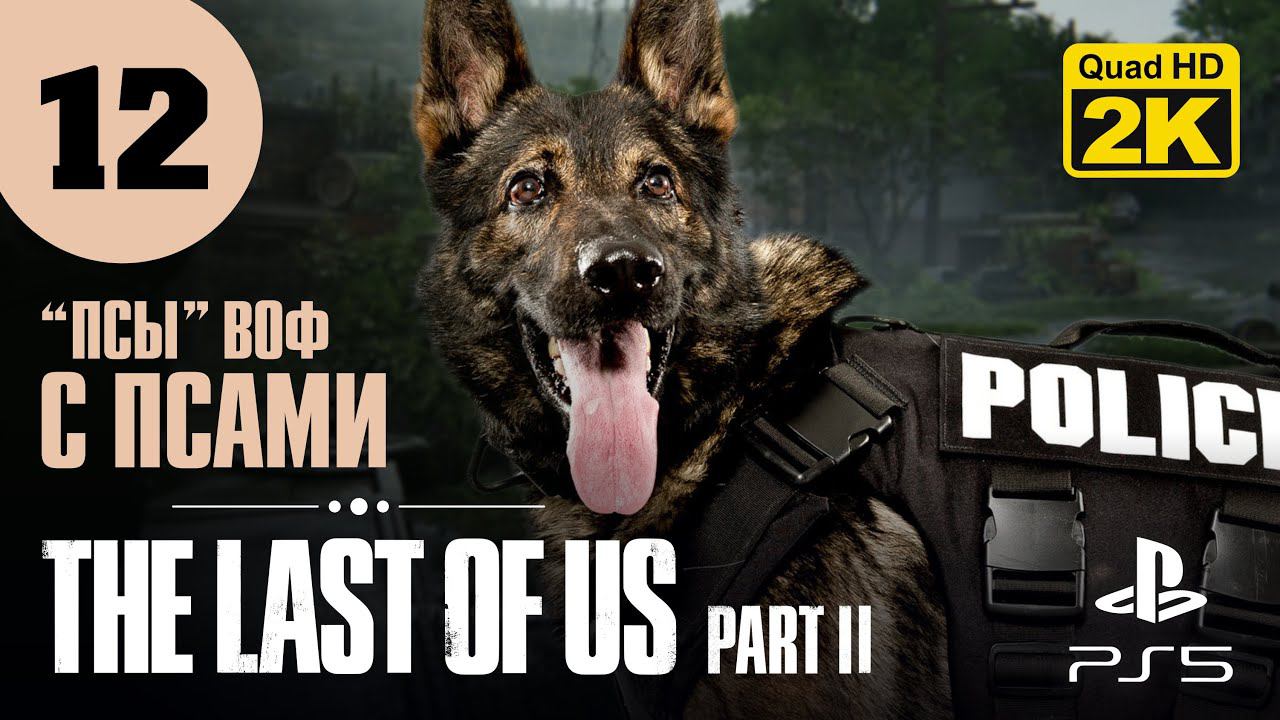 ИЩЕЙКИ ▷ The Last of Us. Part 2 ✦ PS5 [2K 60 fps] - Прохождение #12