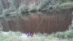 Щука на живца с берега на реке Реж в Свердловской обл. в Жуково