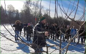 Мастер-класс по обрезке деревьев для сотрудников ГБУ "Жилищник"