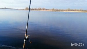 РЫБАЛКА ОТКРЫЛ СЕЗОН 2021 НА ПЕНОПЛАСТ ЛОВЛЯ ЛЕЩА