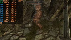 Elder Scrolls V Skyrim Gameplay | On A Ryzen 5 3500U Vega 8 8GB RAM