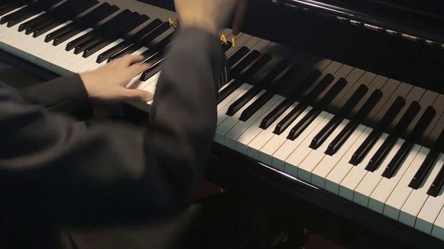 Merry-Go Round of Life - Howl’s Moving Castle [Piano arrangement by Alex Patience] смотреть онлайн