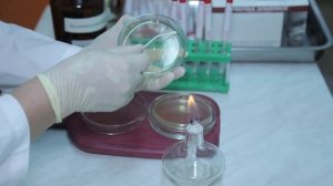 "Спасаем жизни" - менингококковая инфекция