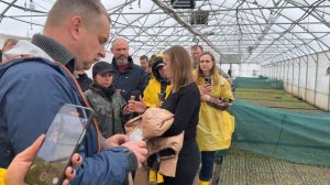 "Секретная тепличка на Фабрике растений Никитенко" – Ирина Любченко