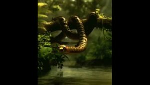 Активация женской энергии через Кали