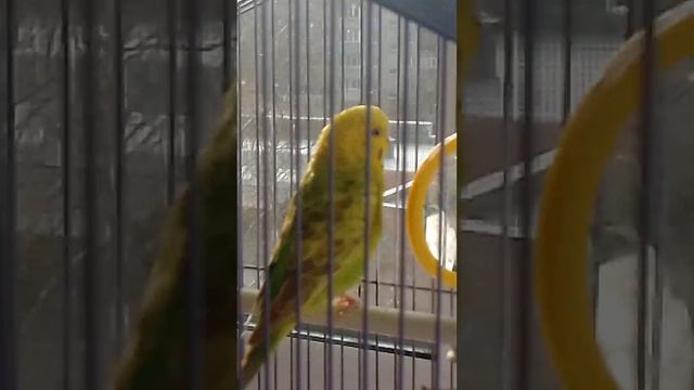 сделать Room tour по нашему дому??? смотреть онлайн