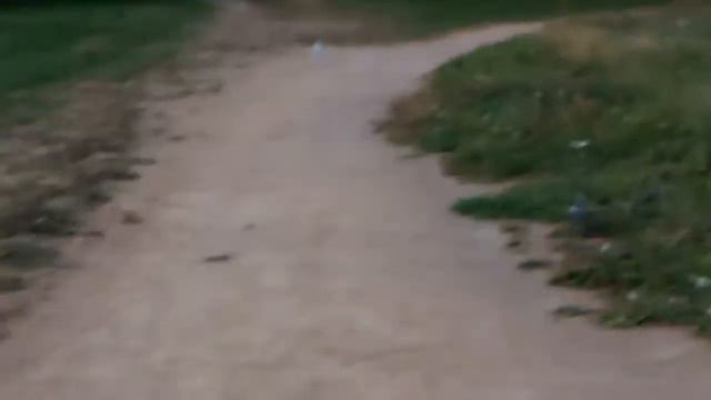 Я бегаю чтооооо? /Полина кью смотреть онлайн