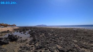 Sunrise Remal Resort-Пляж 09.03.24г.Sharm-El-Sheikh.